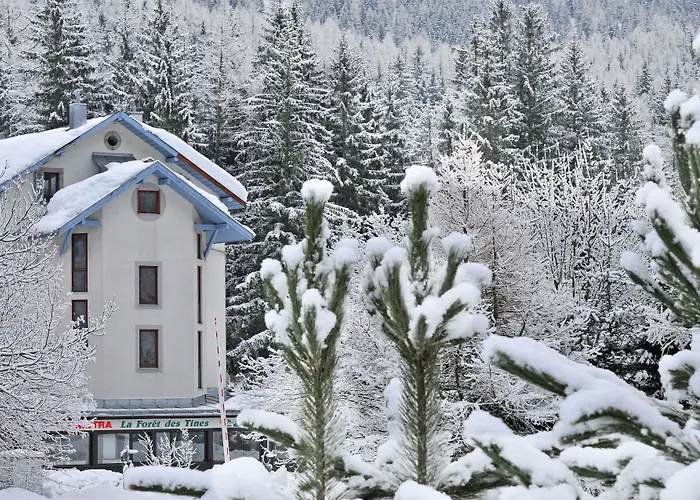 Village Club Mileade Tatil parkı Chamonix